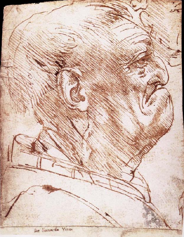 LEONARDO da Vinci Grotesque profile of a man Germany oil painting art